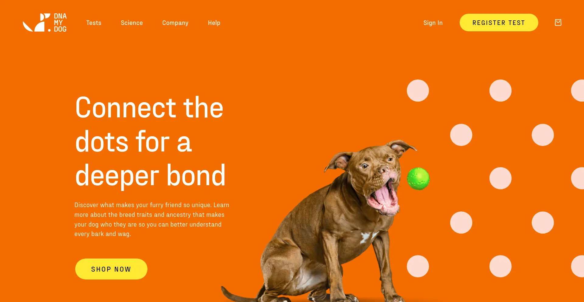 Website screenshot of Dnamydog.com