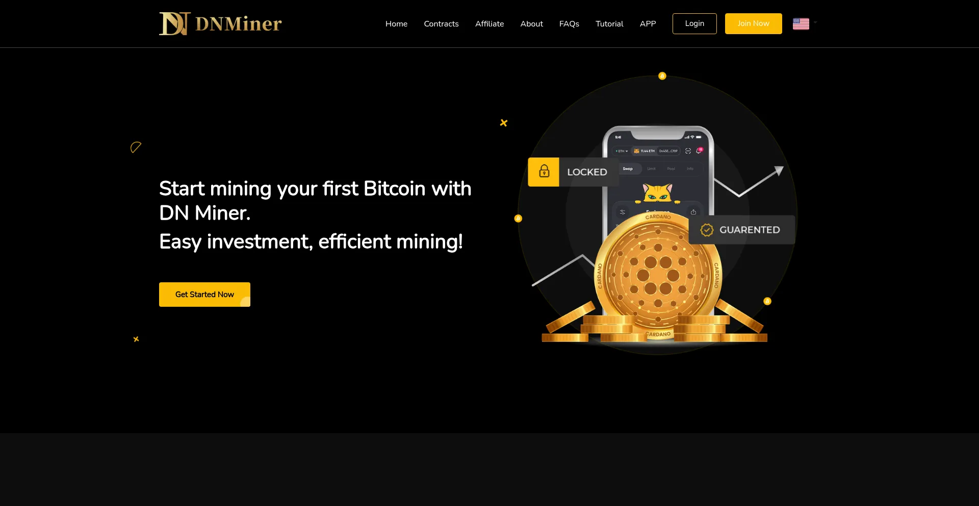 Website screenshot of Dnminer.org