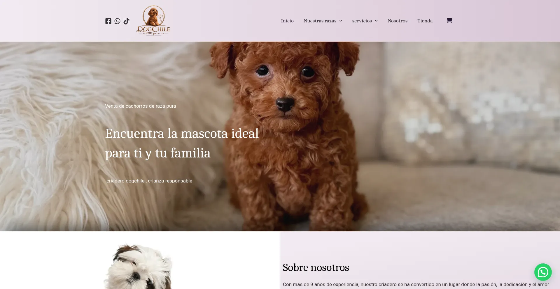 Dogchilecriadero.com