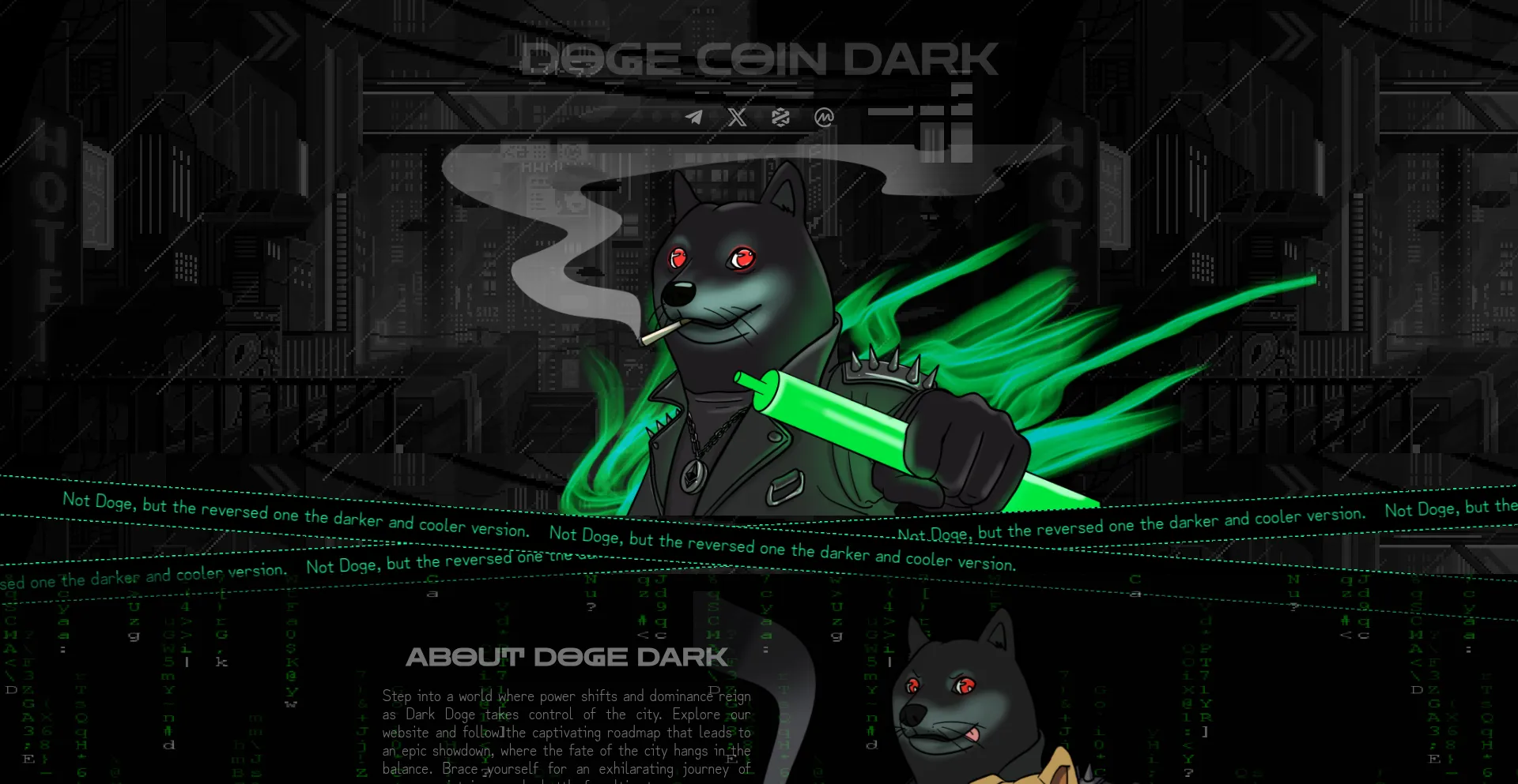 Dogecoindark.vip Screenshot