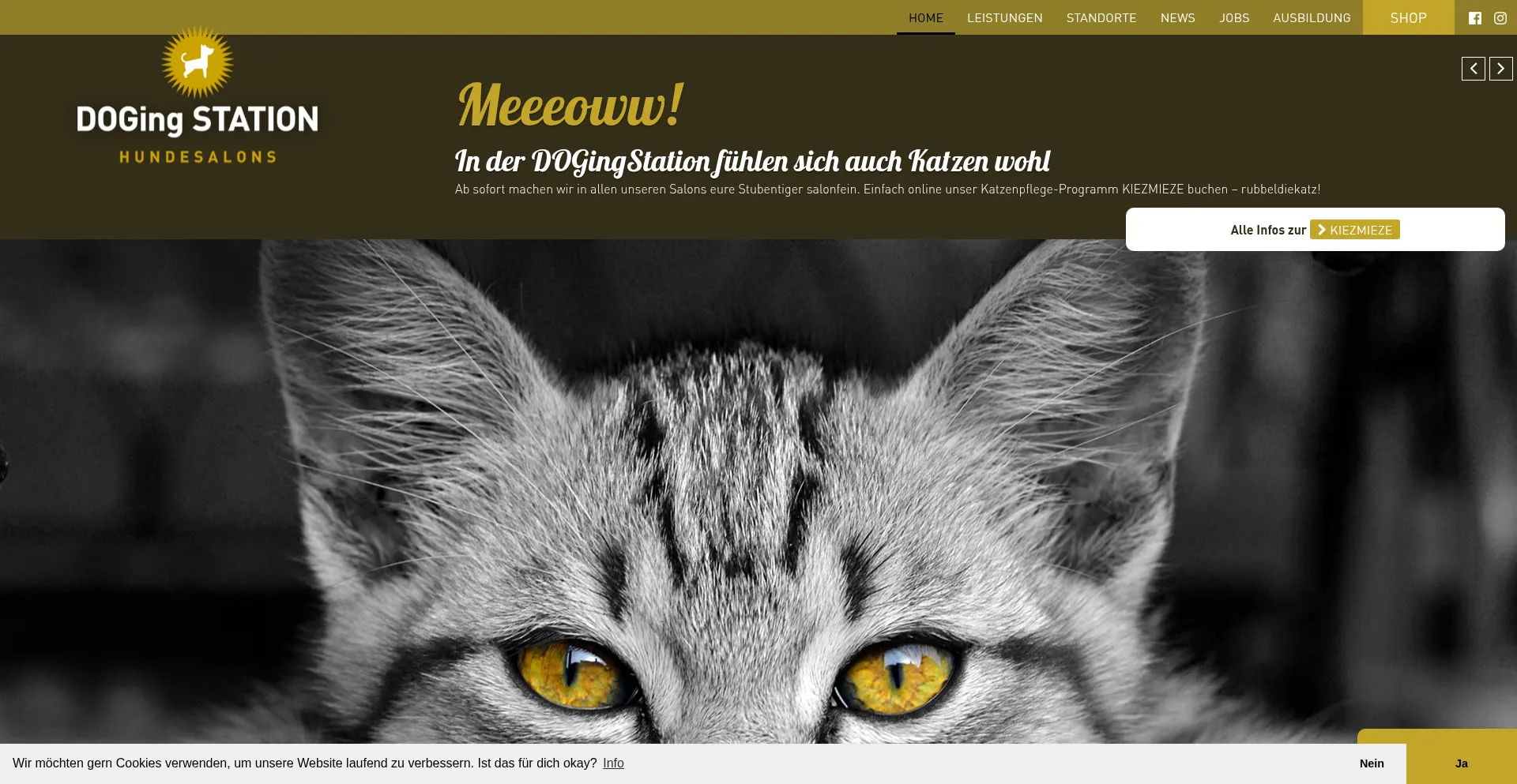 Is Dogingstation.de Safe?