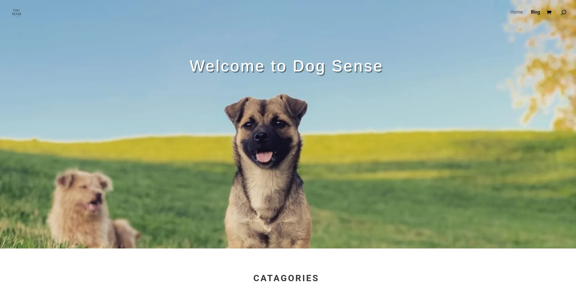 Website screenshot of Dogsense.co.nz