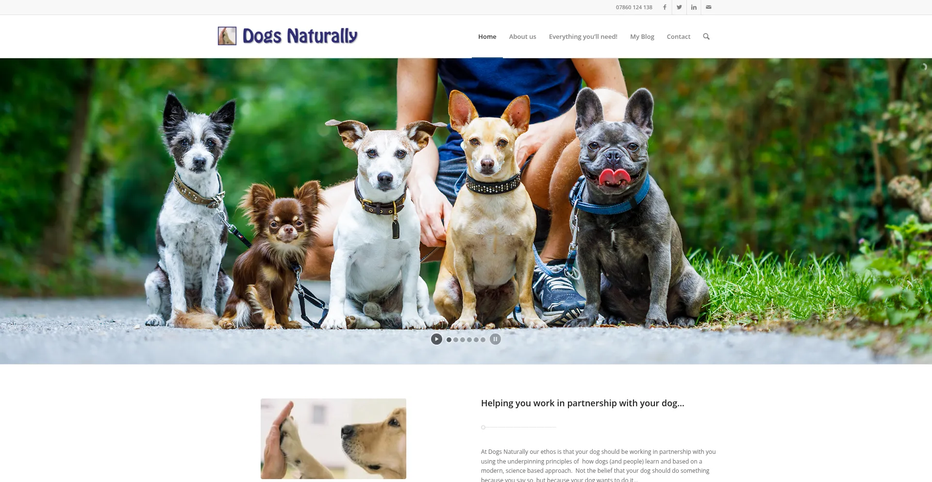 Website screenshot of Dogsnaturally.com