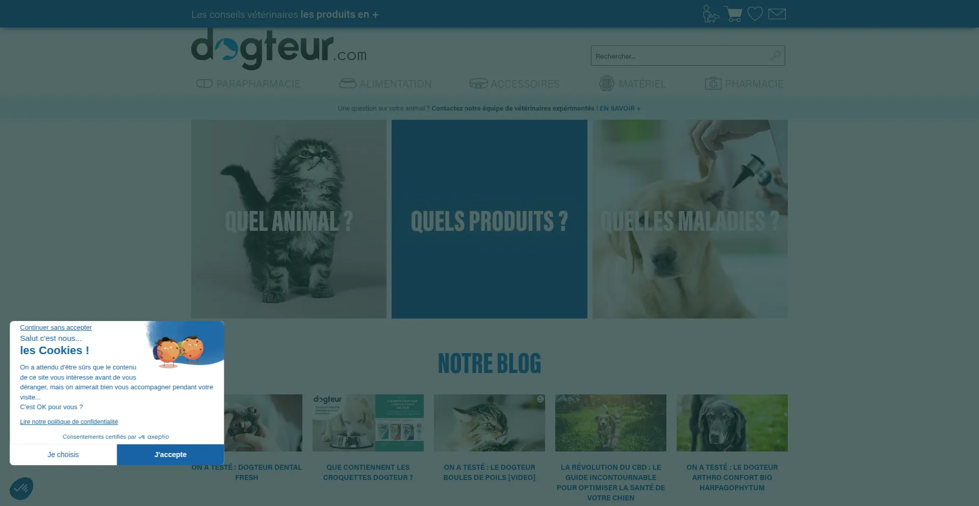 Website screenshot of Dogteur.com