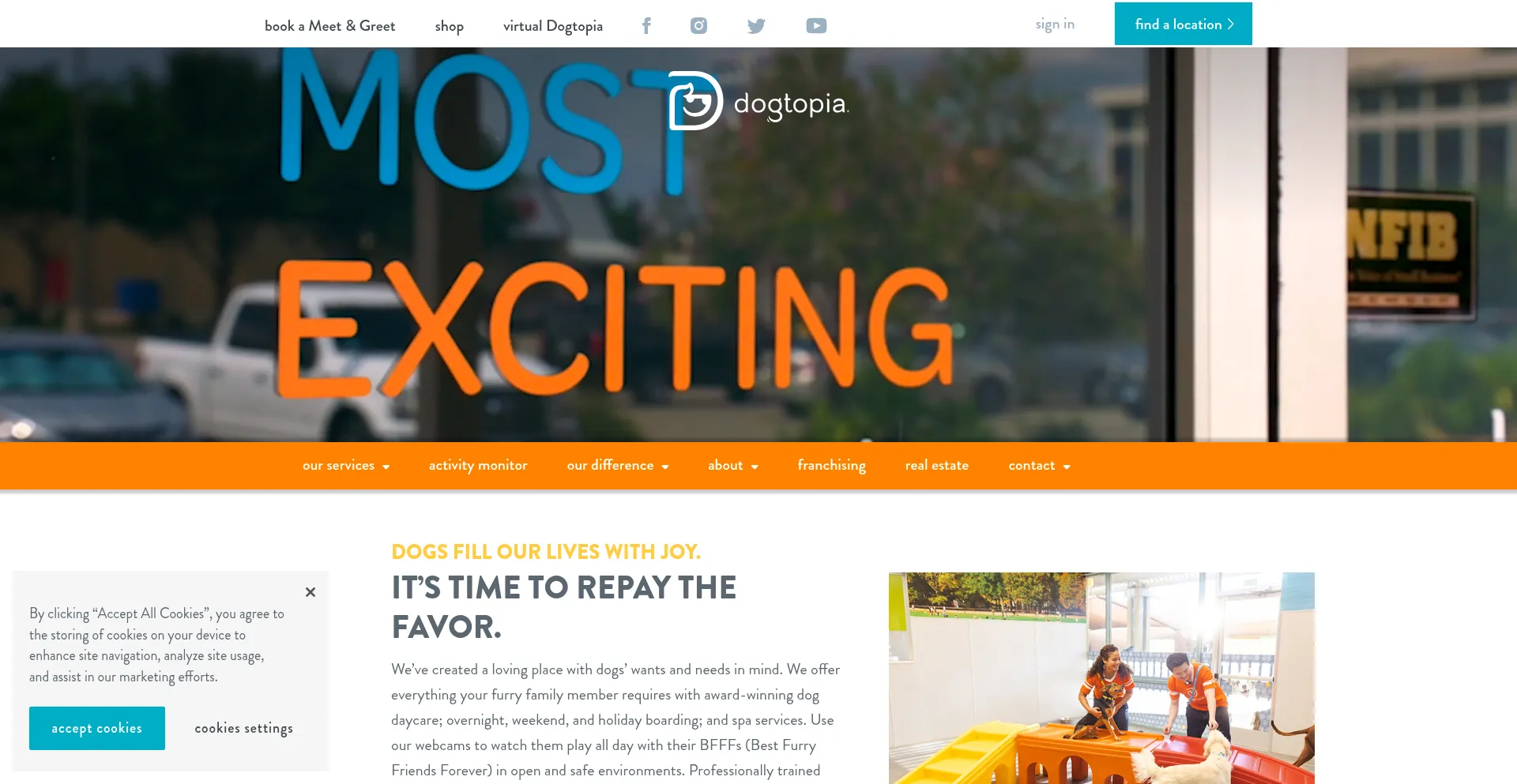 Website screenshot of Dogtopia.com