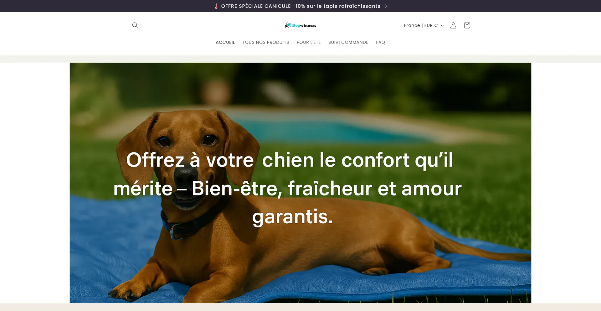 Dogwinners.com