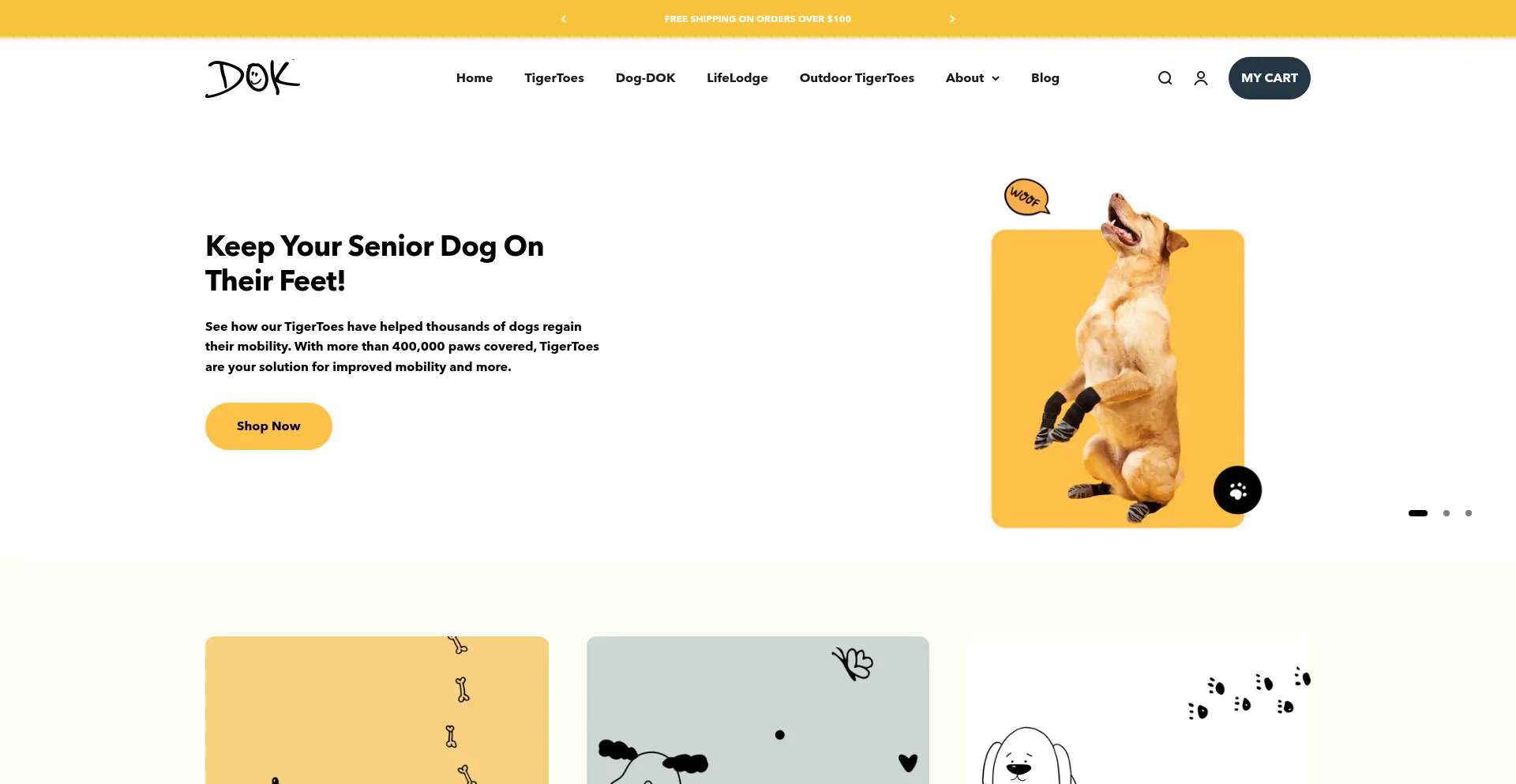 Website screenshot of Dokfamily.com