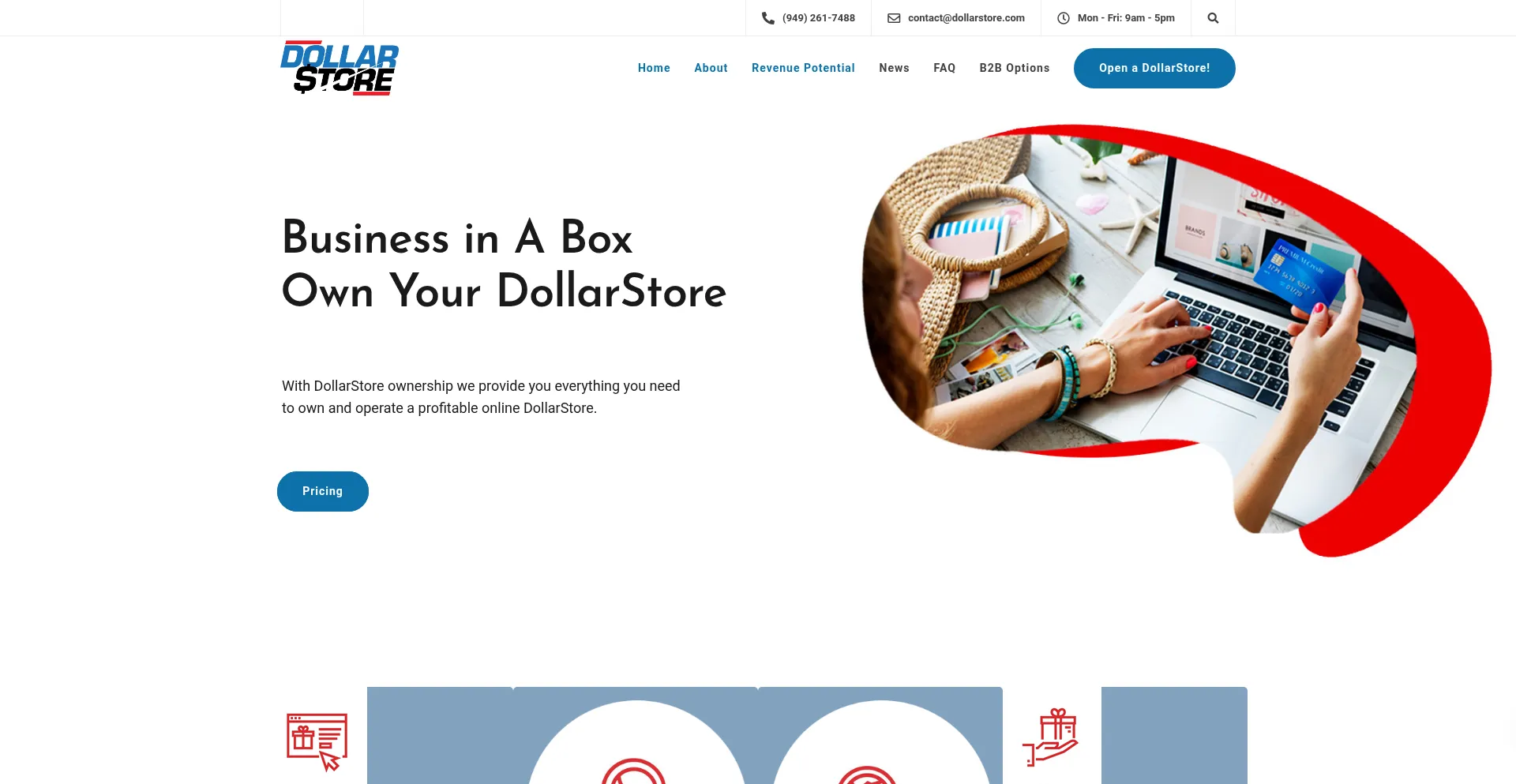 Website screenshot of Dollarstore.pro