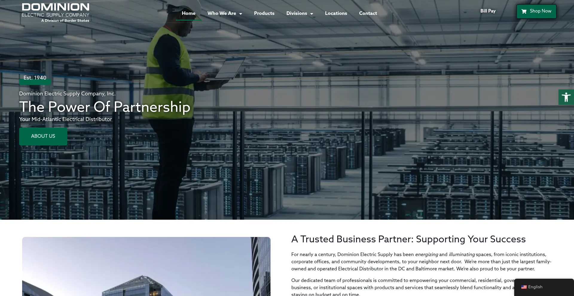 Website screenshot of Dominionelectric.com