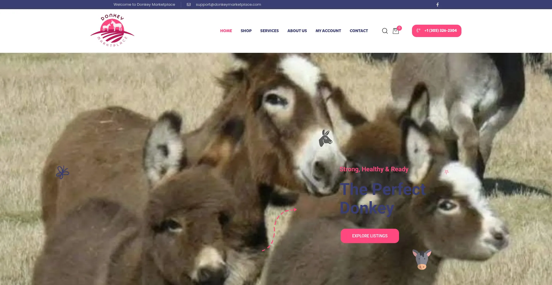 Donkeymarketplace.com