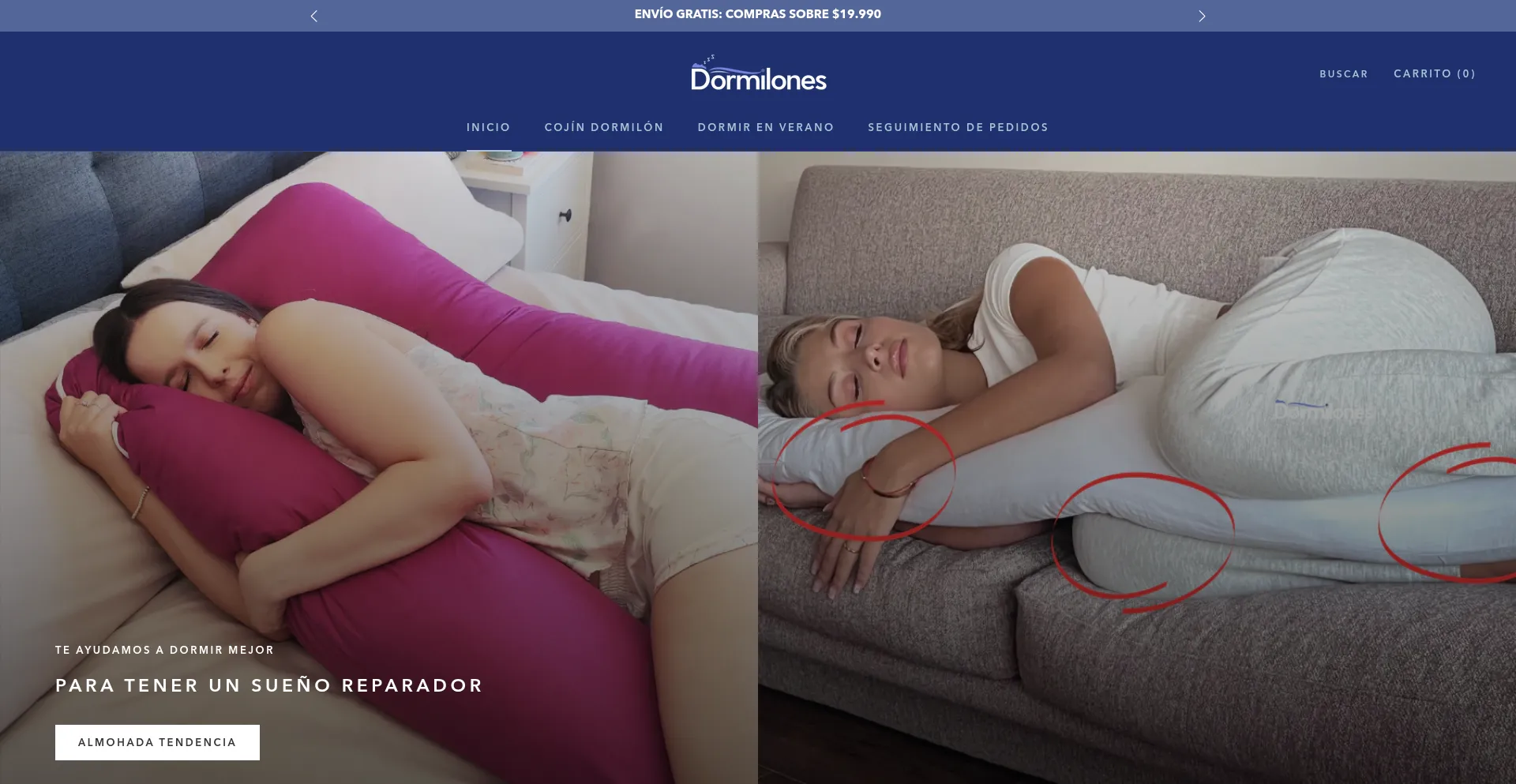 Website screenshot of Dormilones.cl