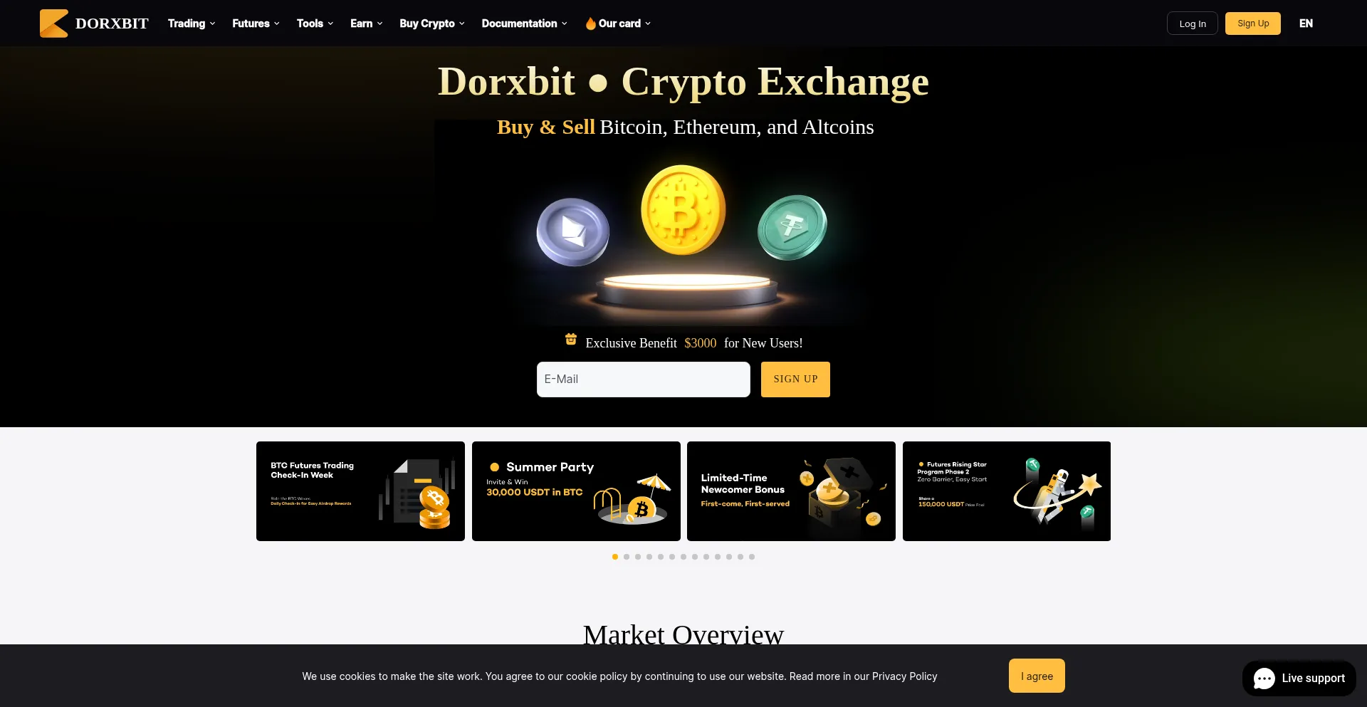 Website screenshot of Dorxbit.com