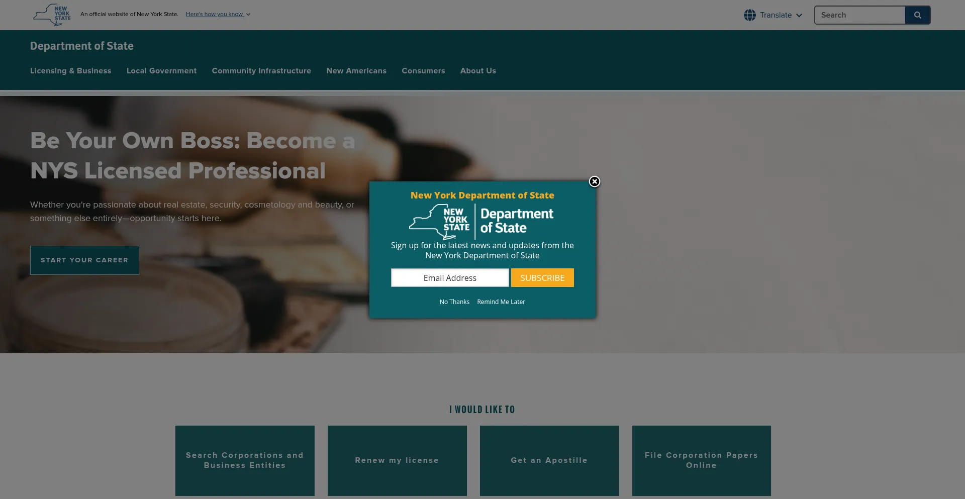 Website screenshot of Dos.ny.gov