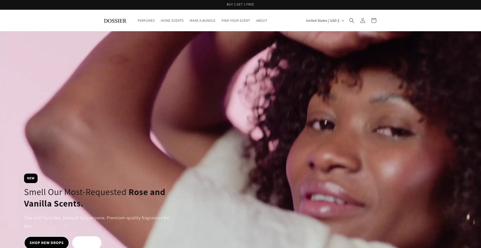 Website screenshot of Dossir.com
