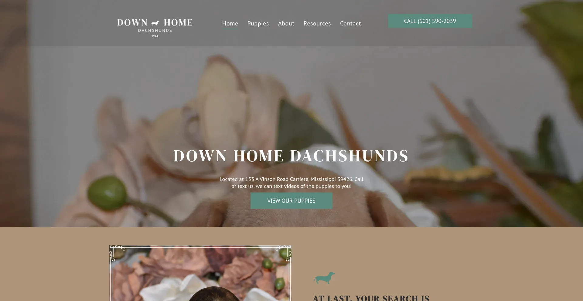 Downhomedachshunds.com