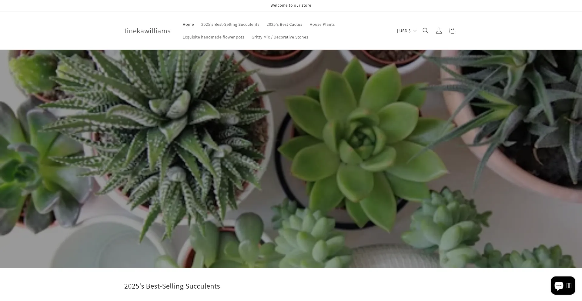 Website screenshot of Dozttvd.shop