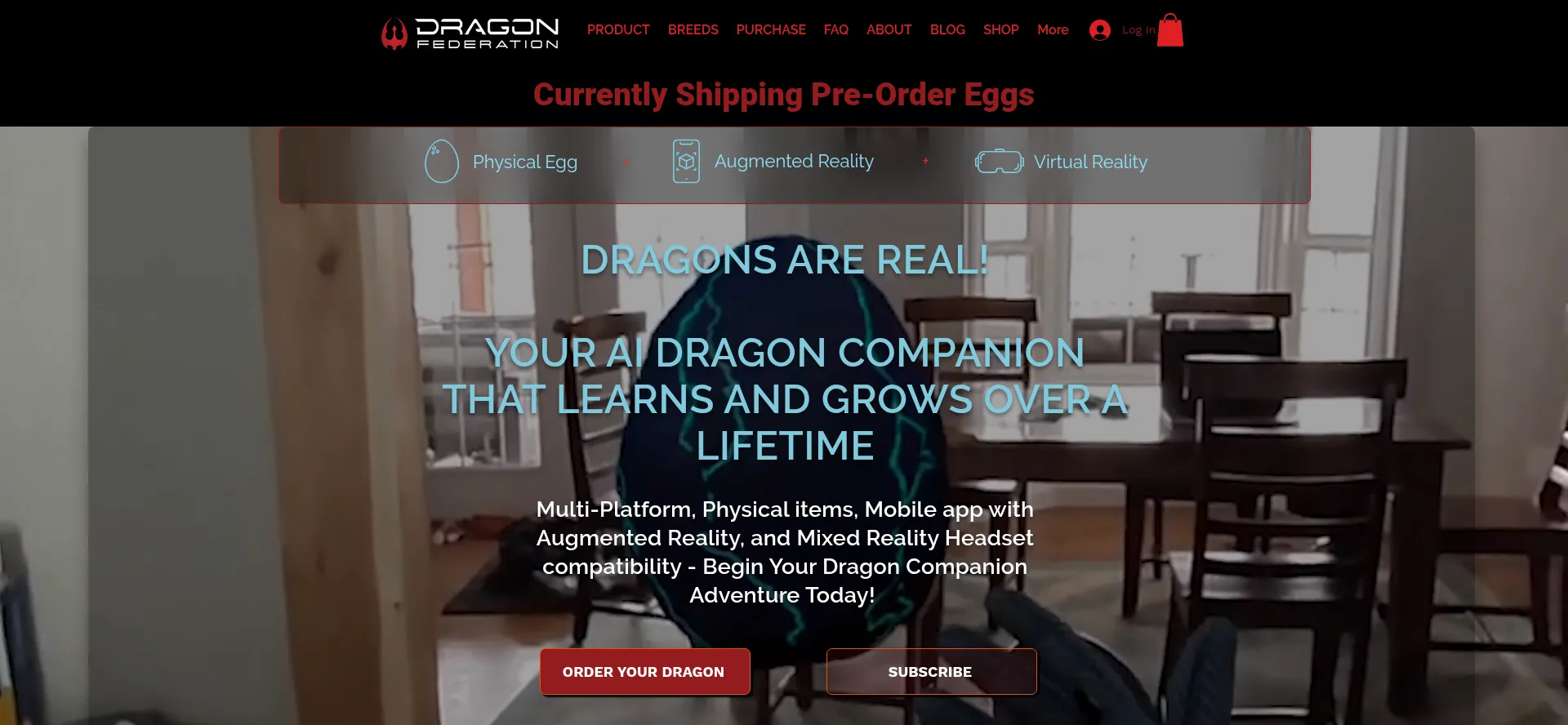 Dragonfederation.com