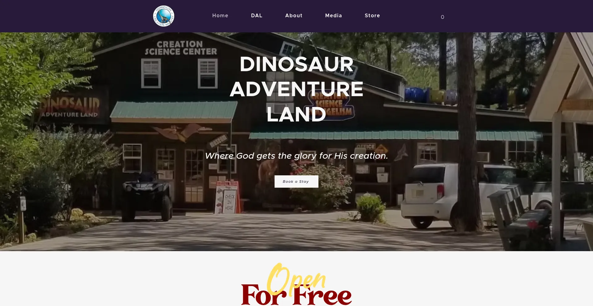 Website screenshot of Drdino.com