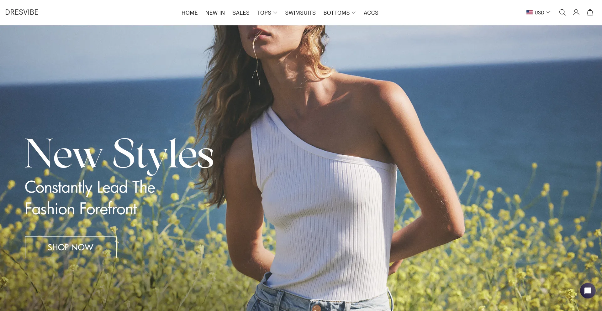 Website screenshot of Dresvibe.com