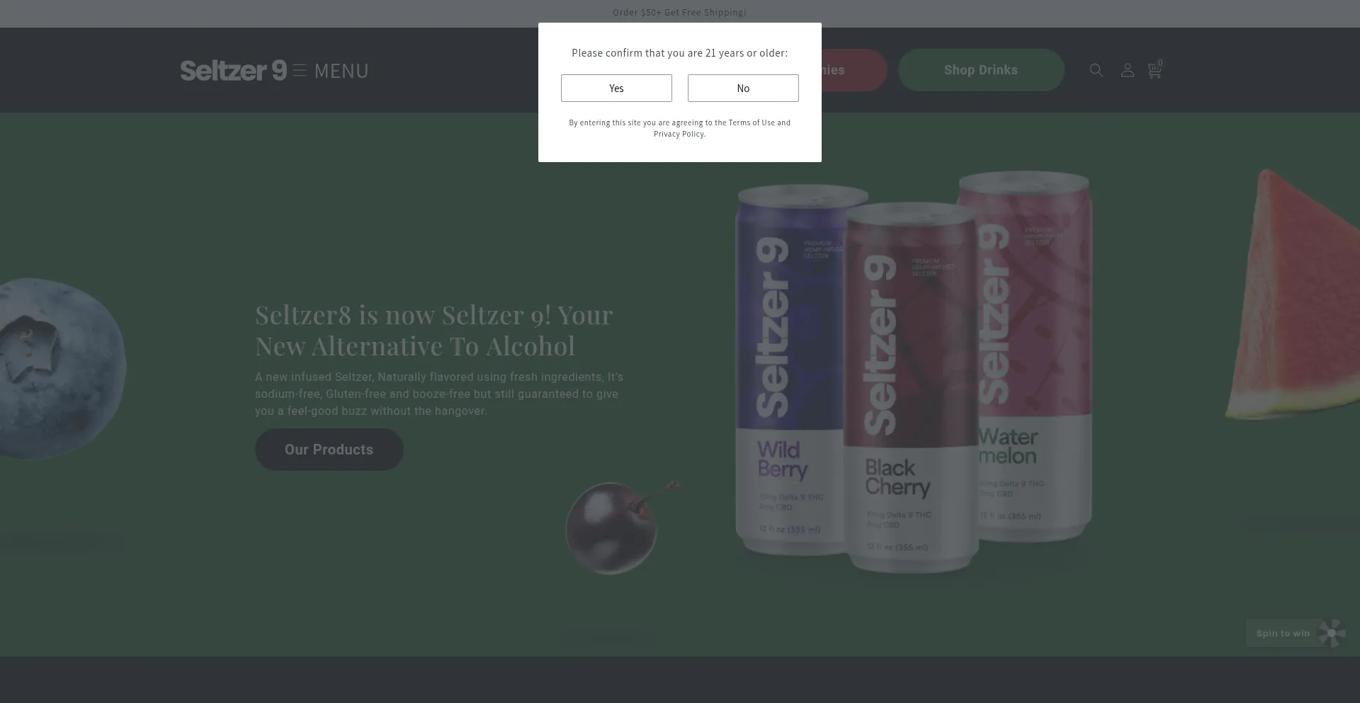 Website screenshot of Drinkseltzer9.com