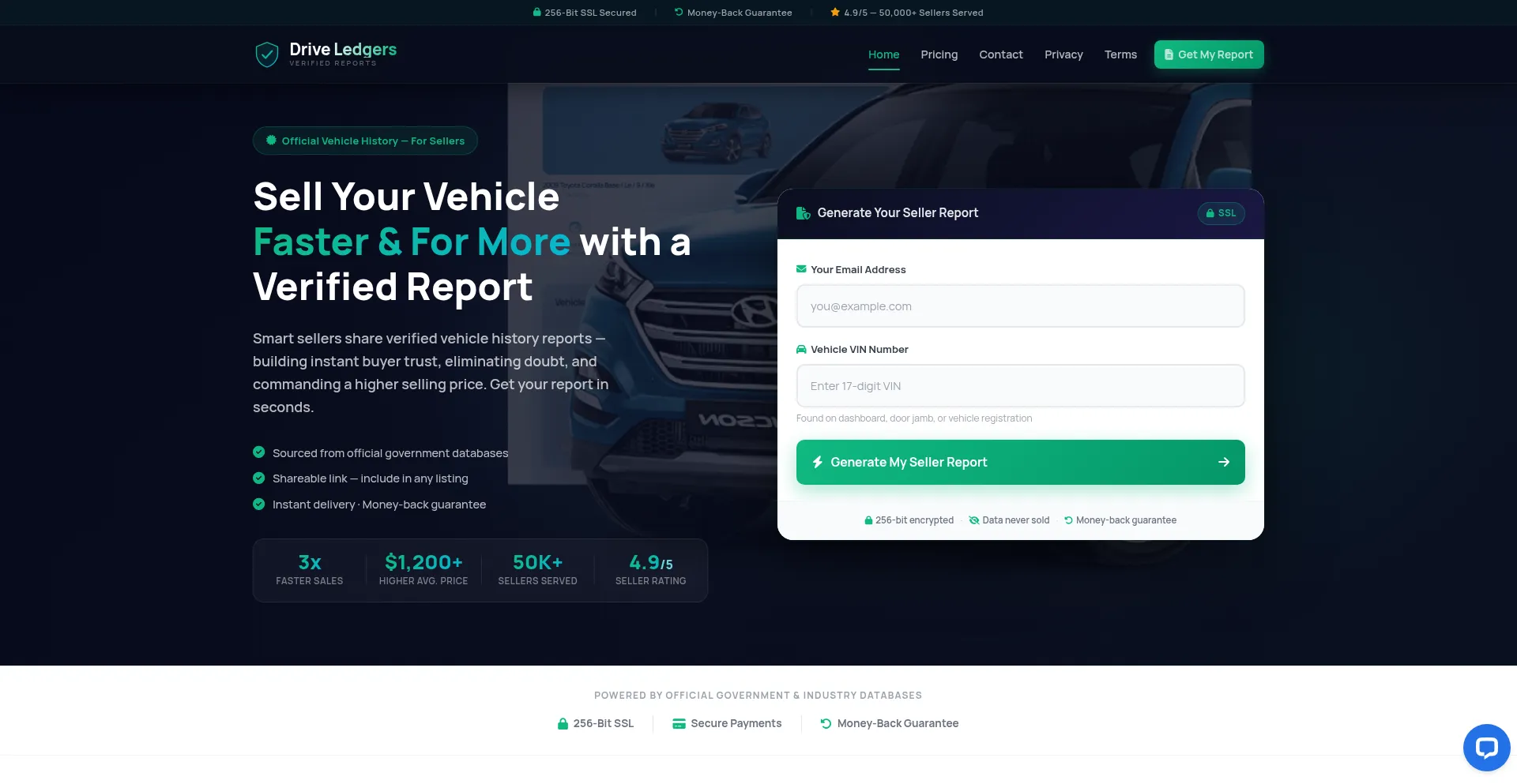 Driveledgers.com
