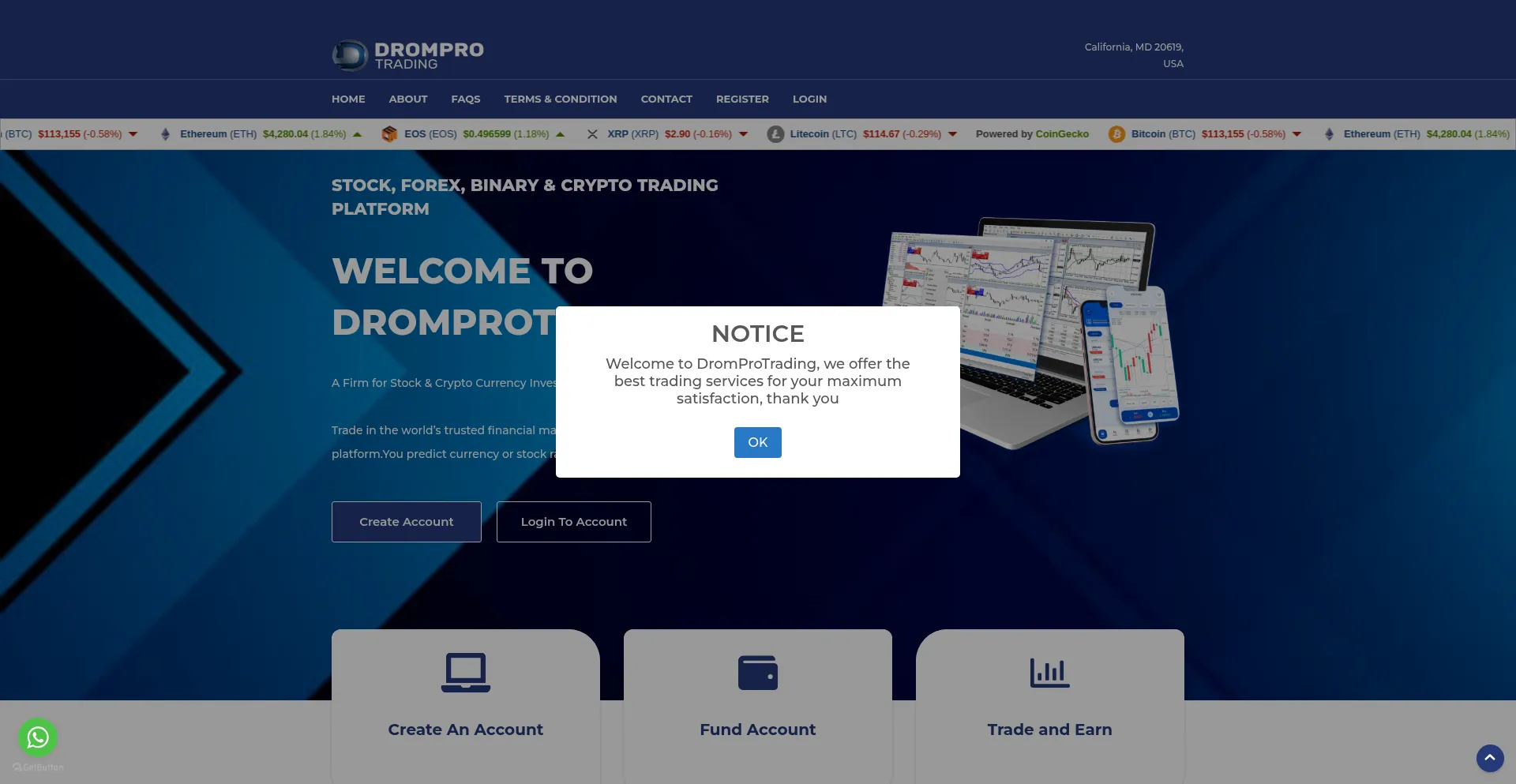 Website screenshot of Dromprotrading.com