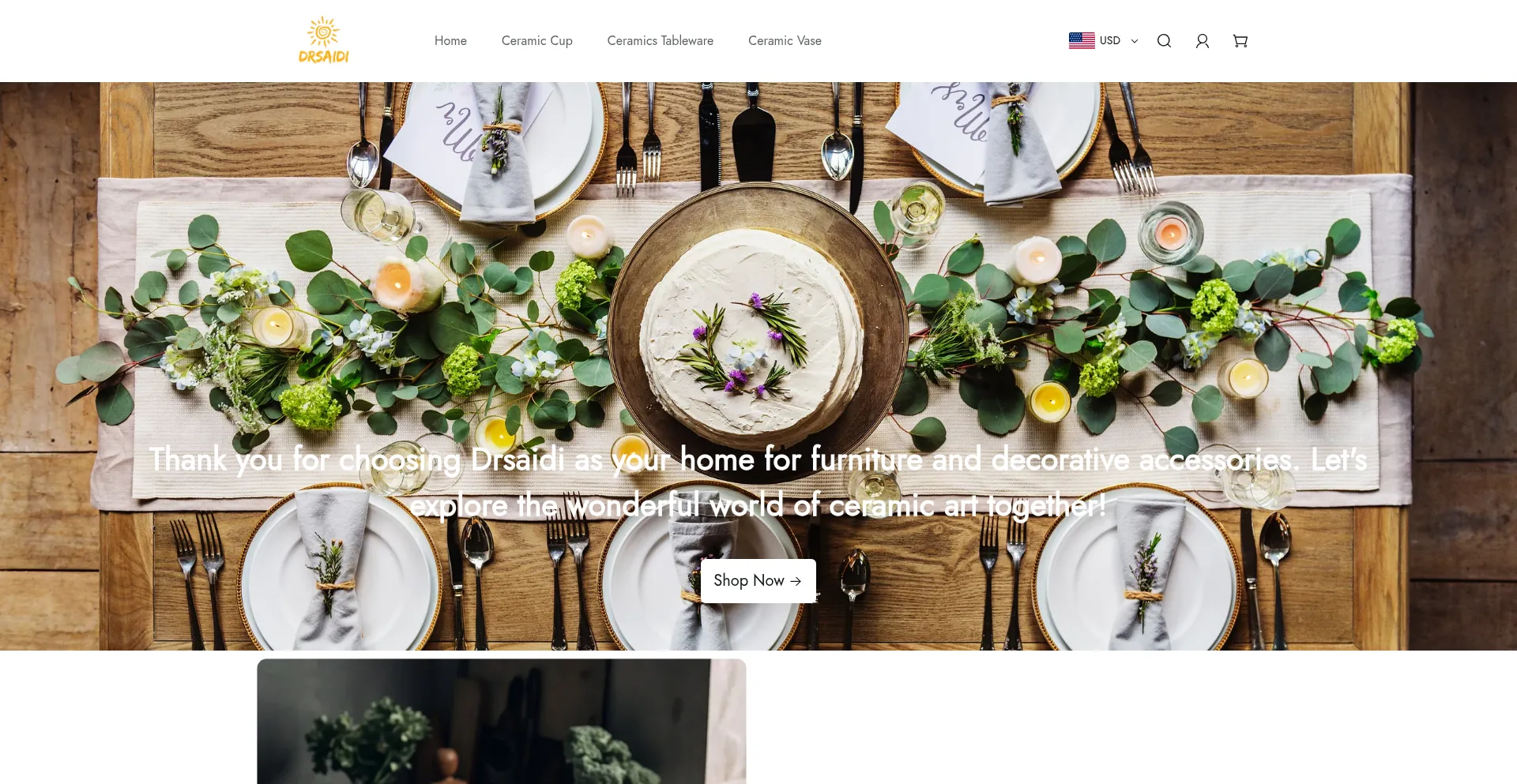 Website screenshot of Drsaidi.com