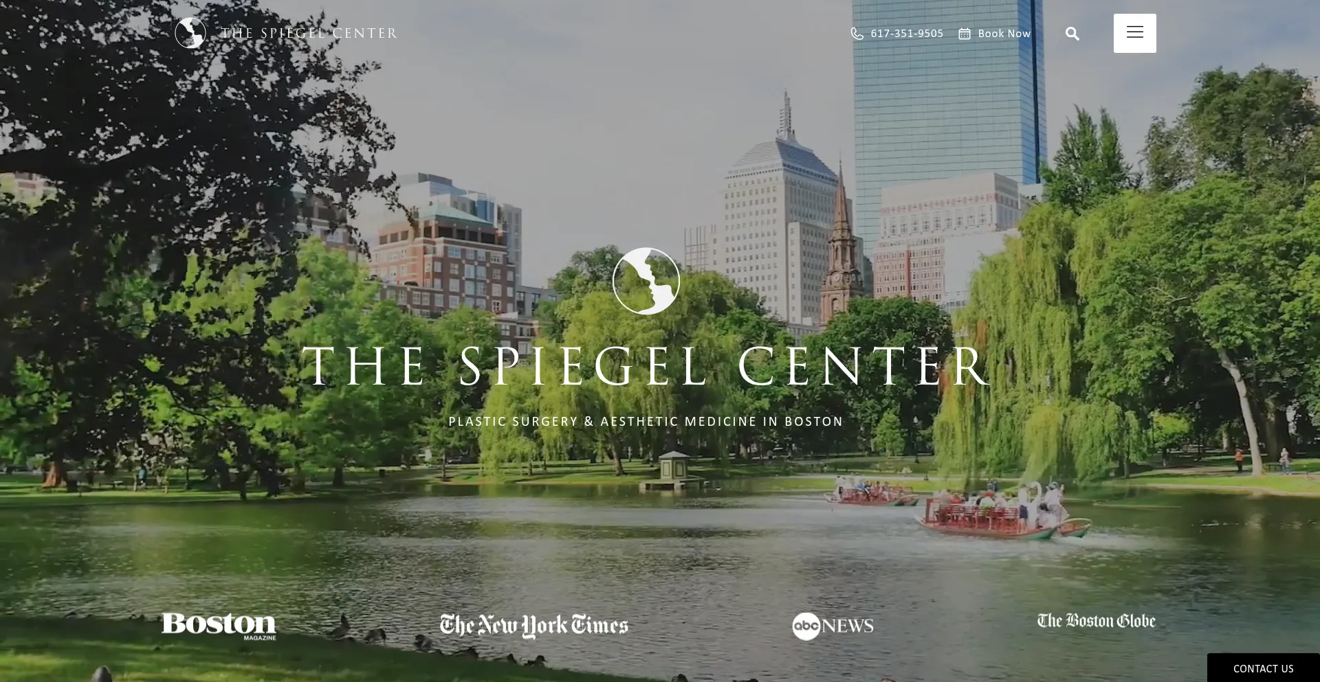 Website screenshot of Drspiegel.com