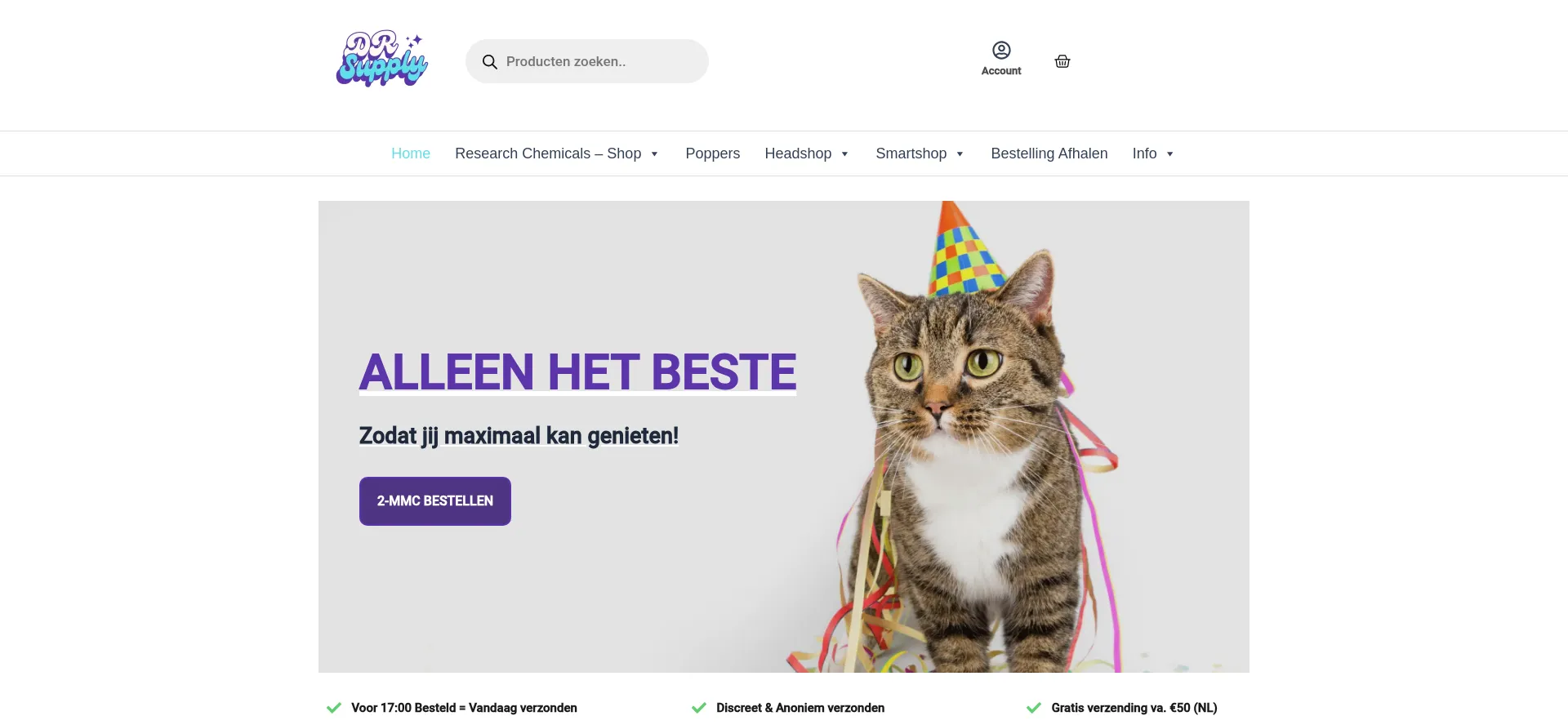 Website screenshot of Drsupply.nl