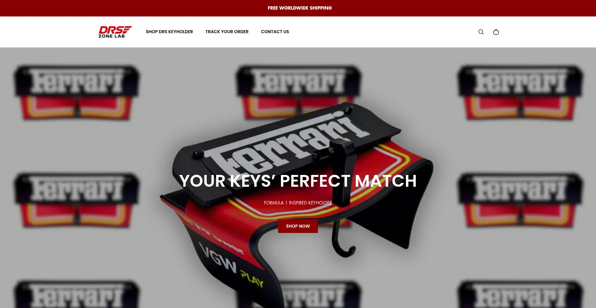 Website screenshot of Drszonelab.com