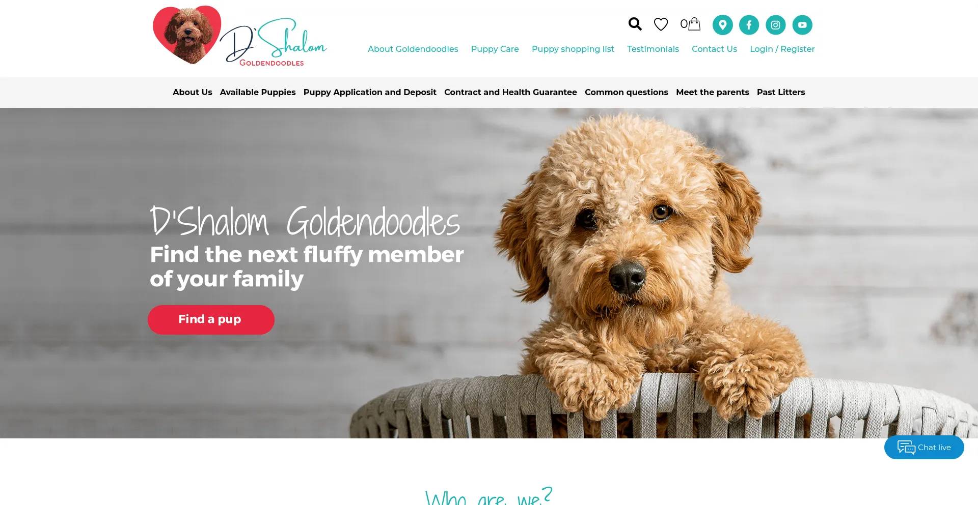 Website screenshot of Dshalomgoldendoodles.com