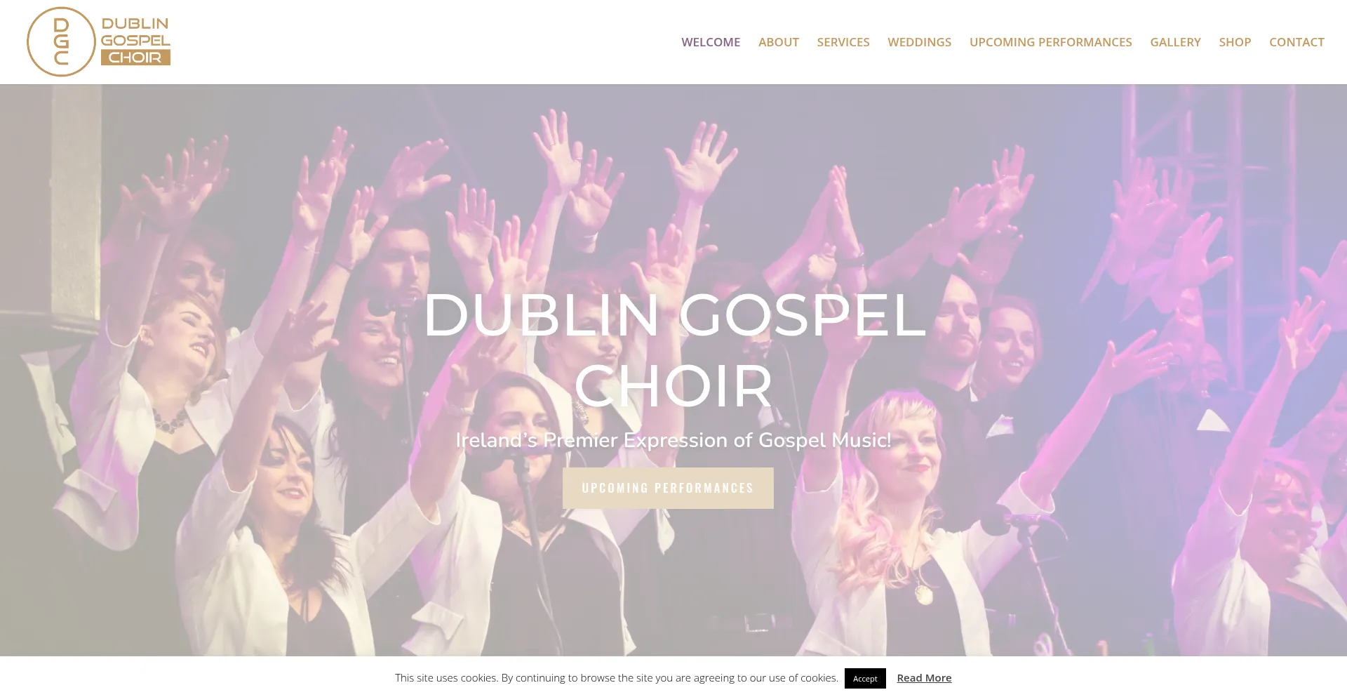 Website screenshot of Dublingospelchoir.com