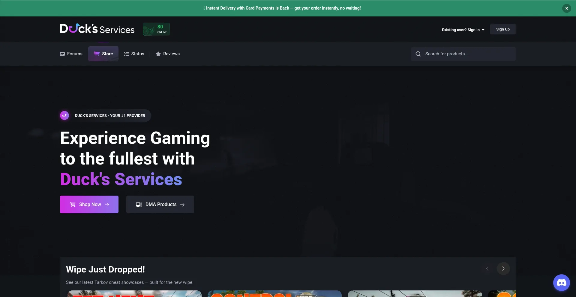 Ducks-services.com Screenshot