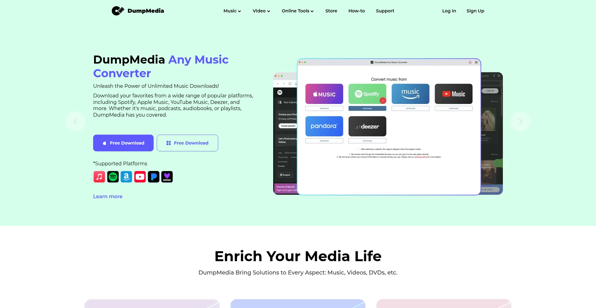Website screenshot of Dumpmedia.com