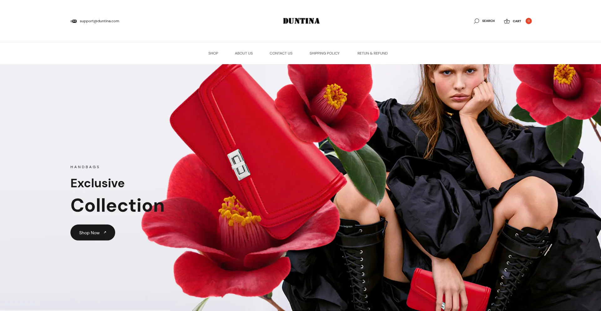 Duntina.com Screenshot