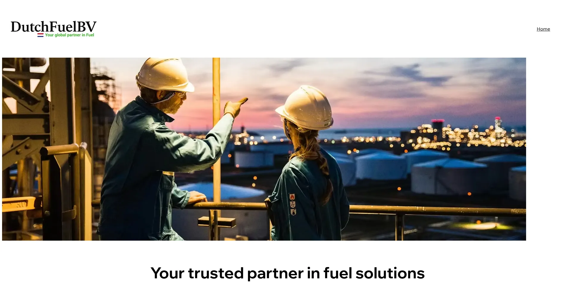 Dutchfuelbv.com Screenshot