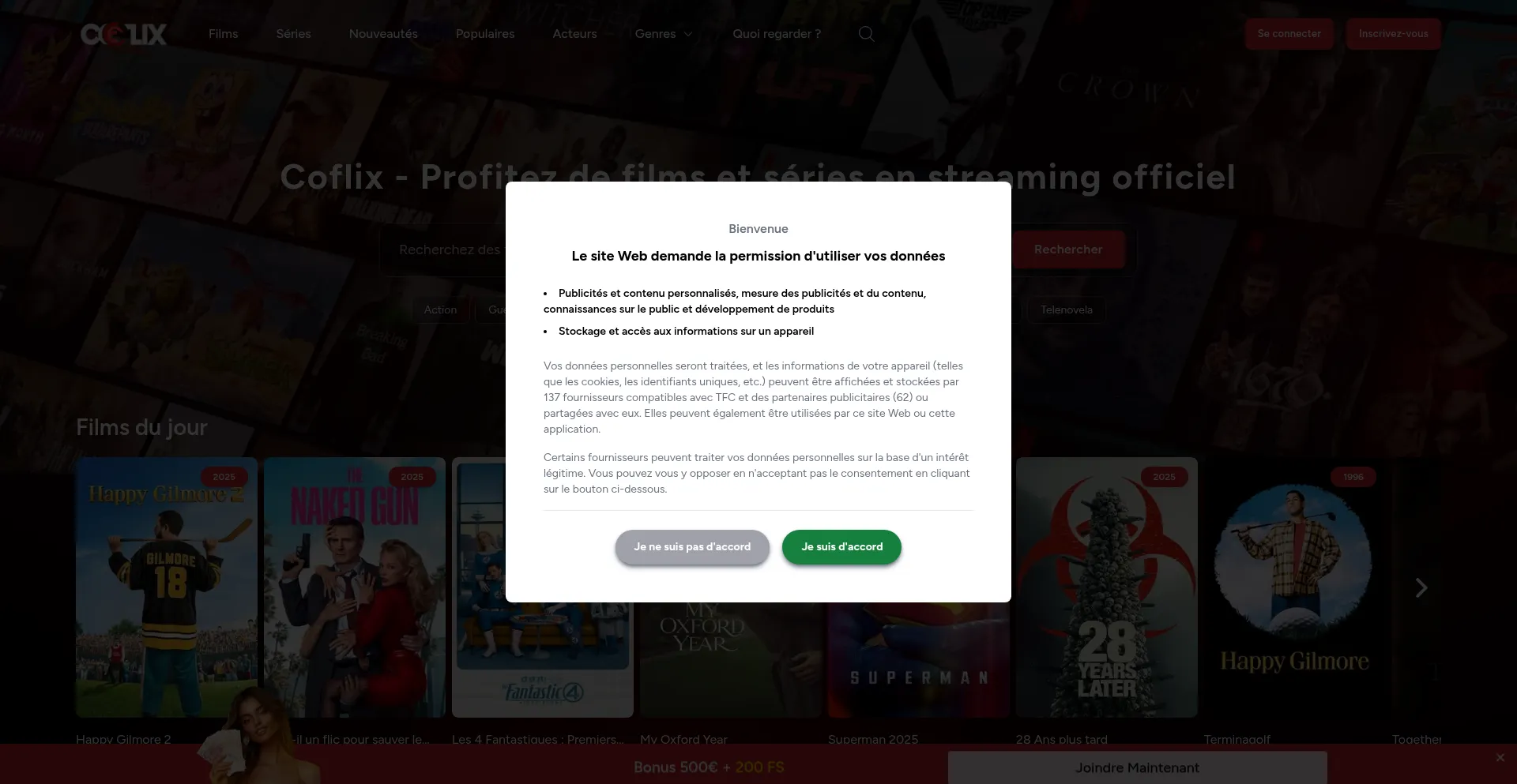 Website screenshot of Dvmcorp.fr