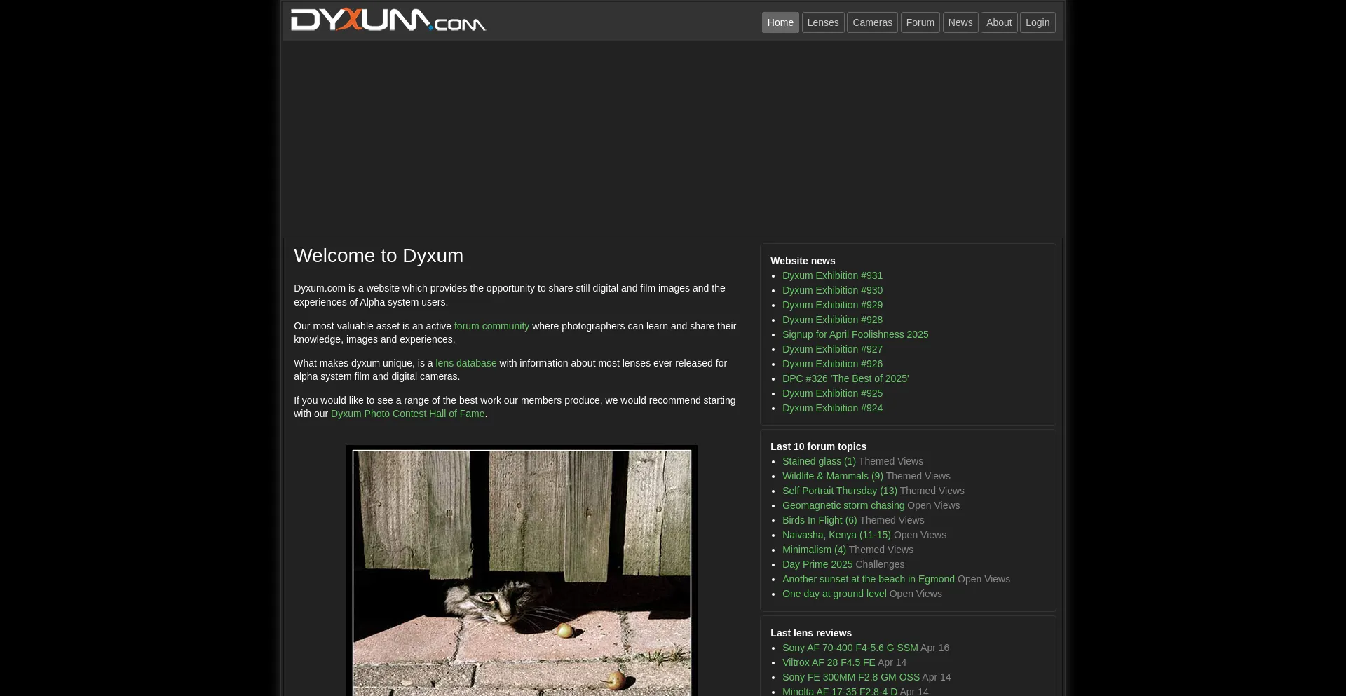 Website screenshot of Dyxum.com