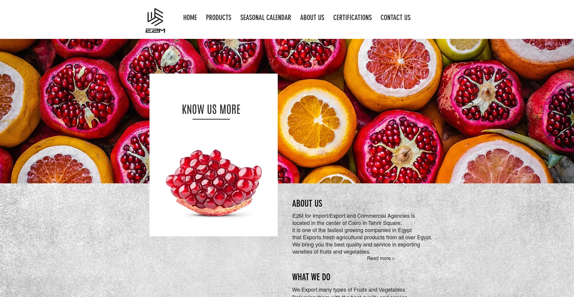 Website screenshot of E2m-eg.com
