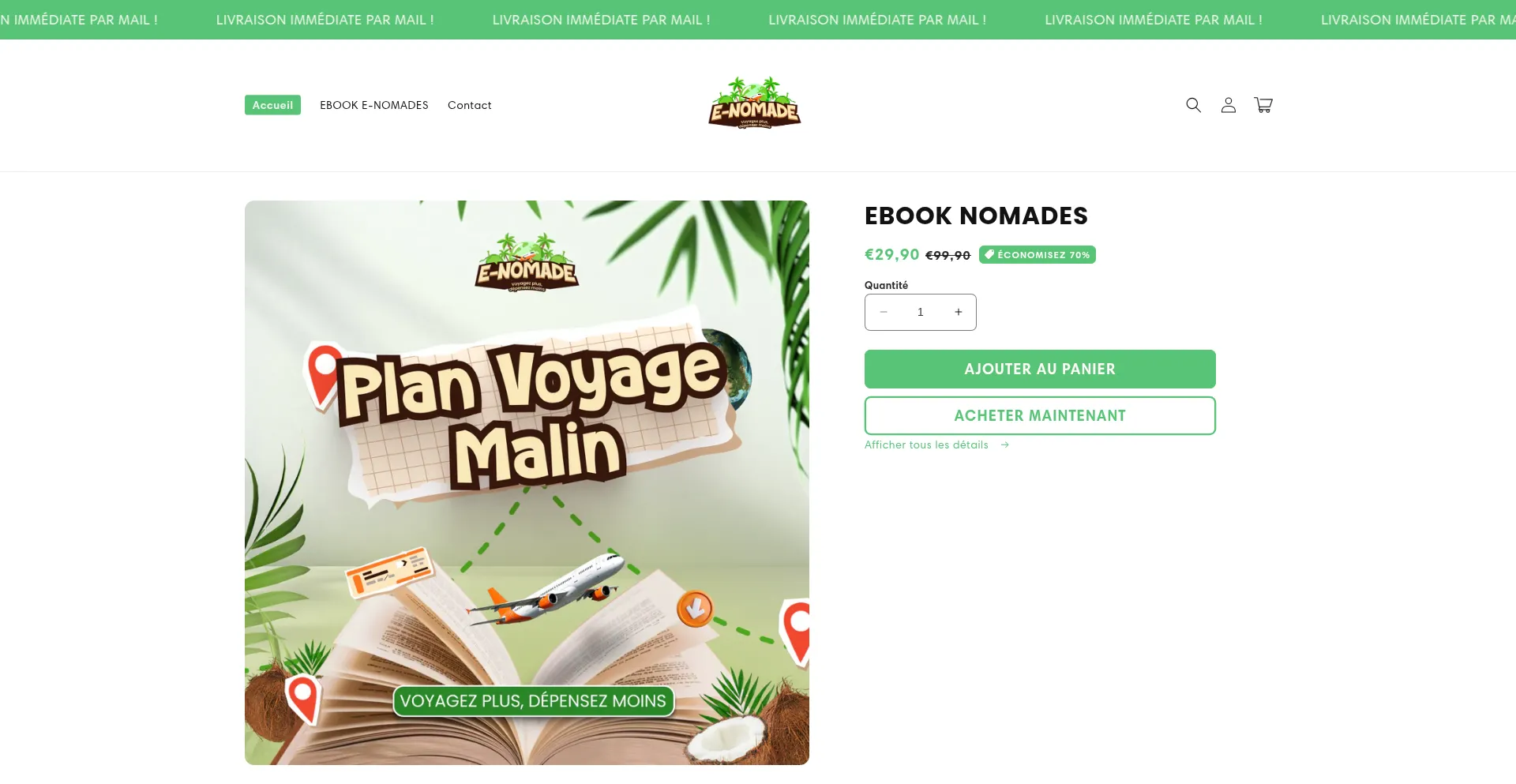 Website screenshot of E-nomades.com