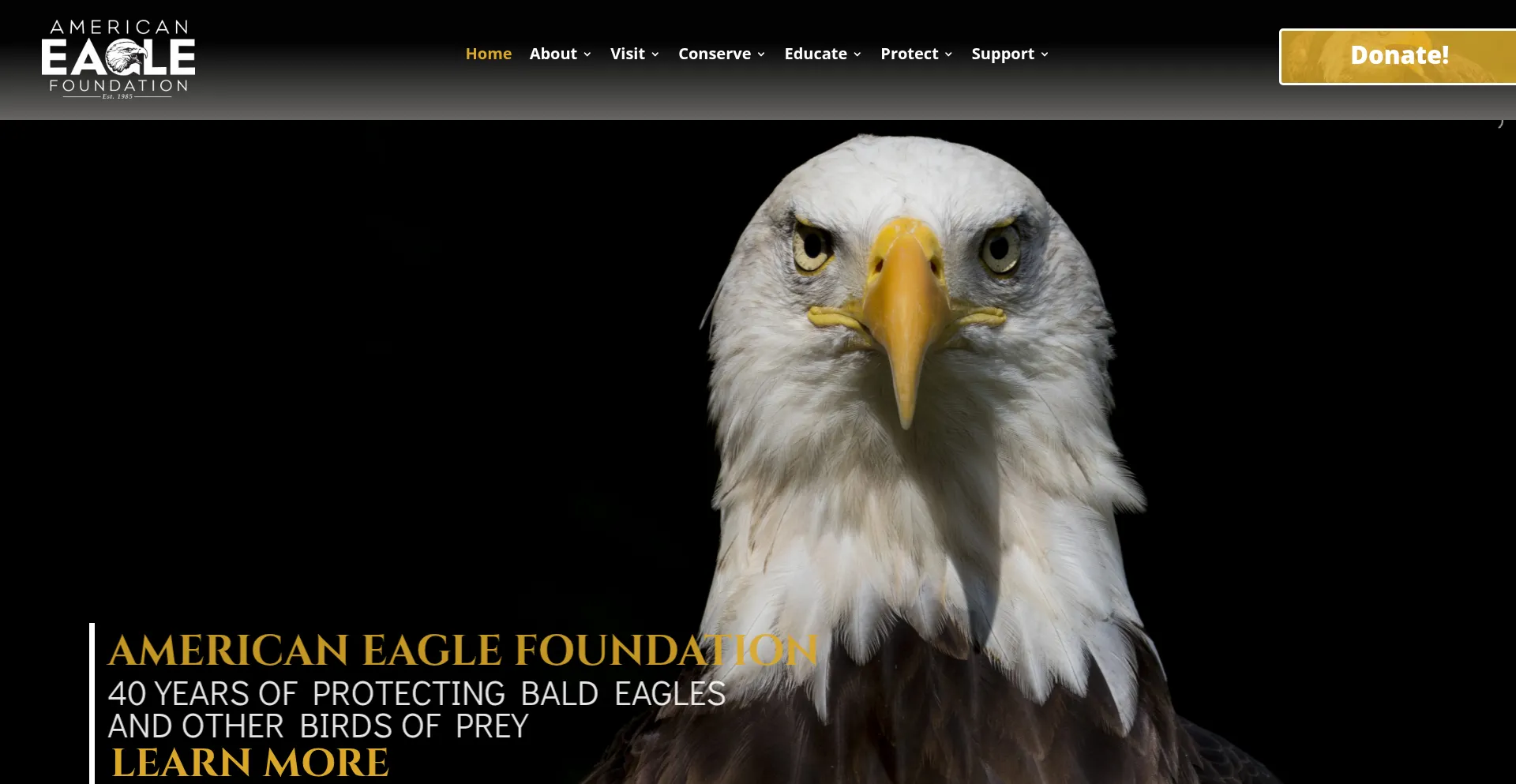 Eagles.org