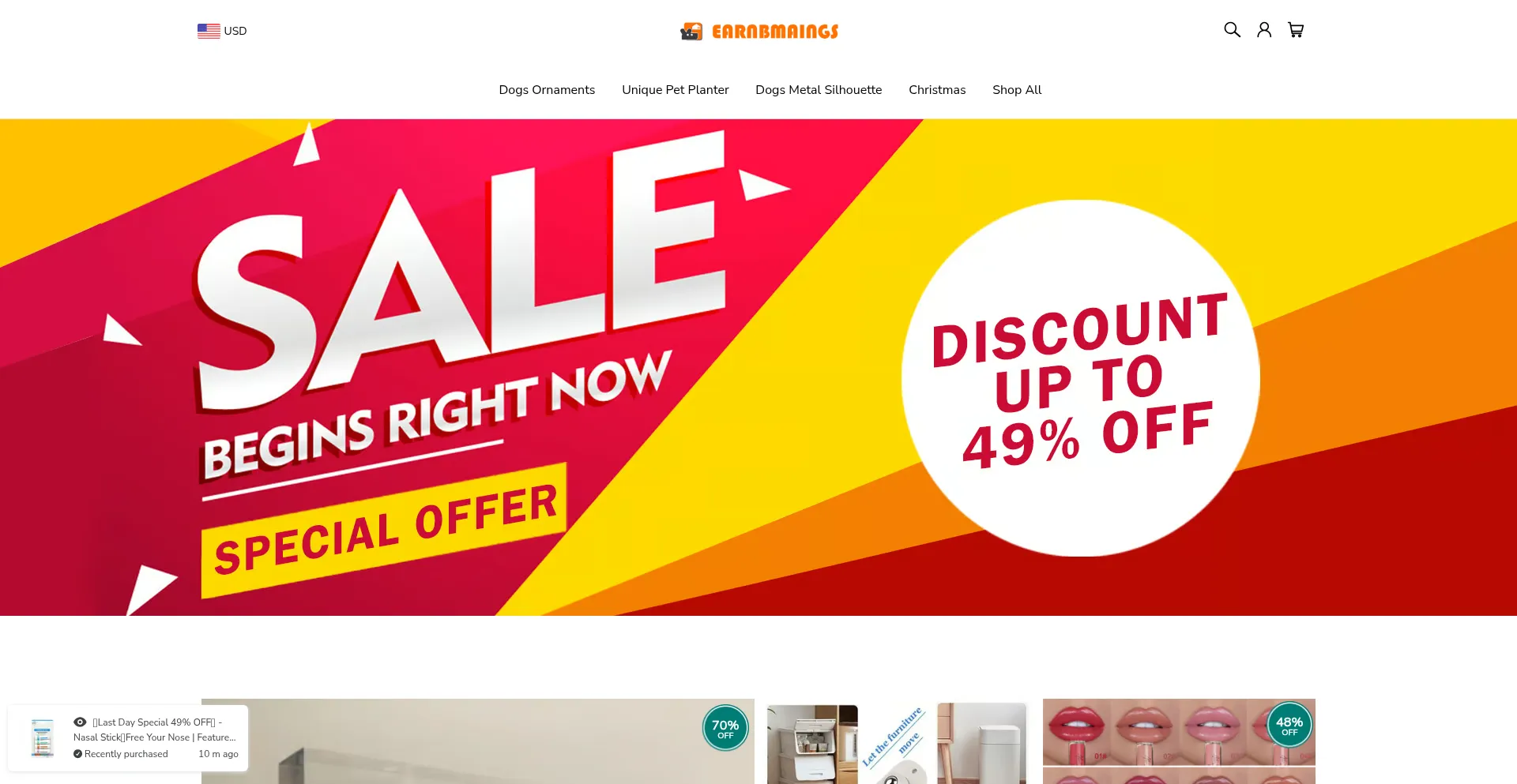Website screenshot of Earnbmaings.com