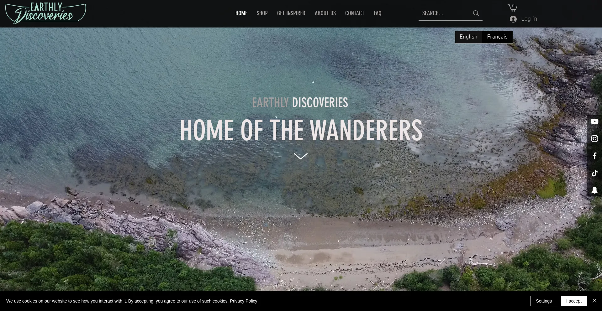 Website screenshot of Earthlydiscoveries.com