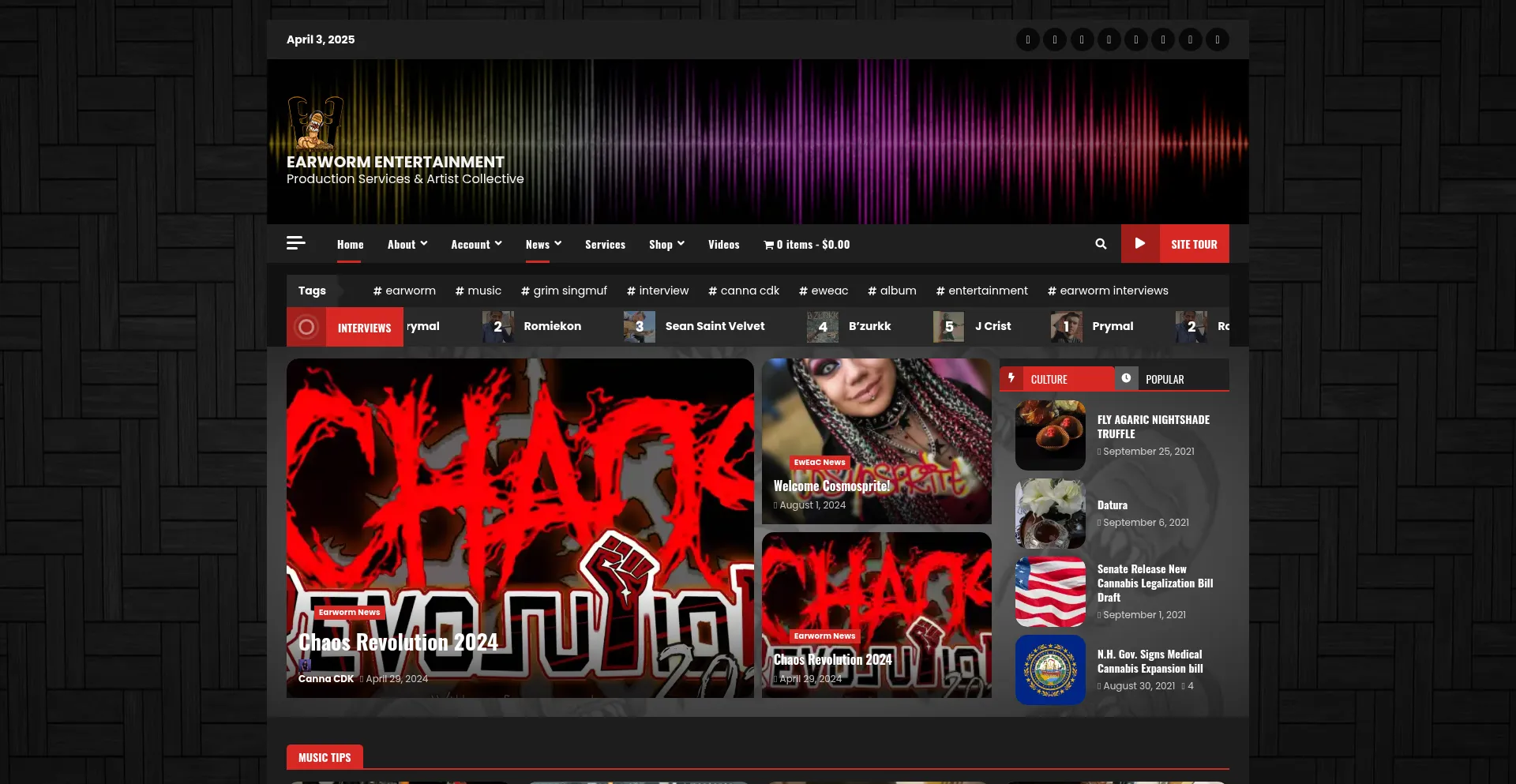 Website screenshot of Earwormentertainment.com