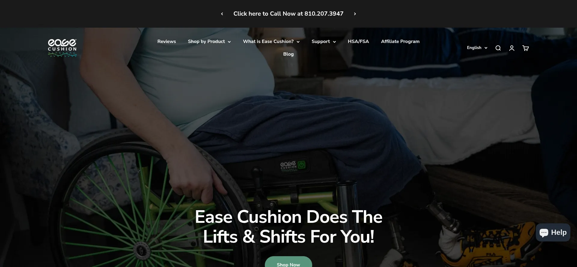 Website screenshot of Easeseatingsystems.com