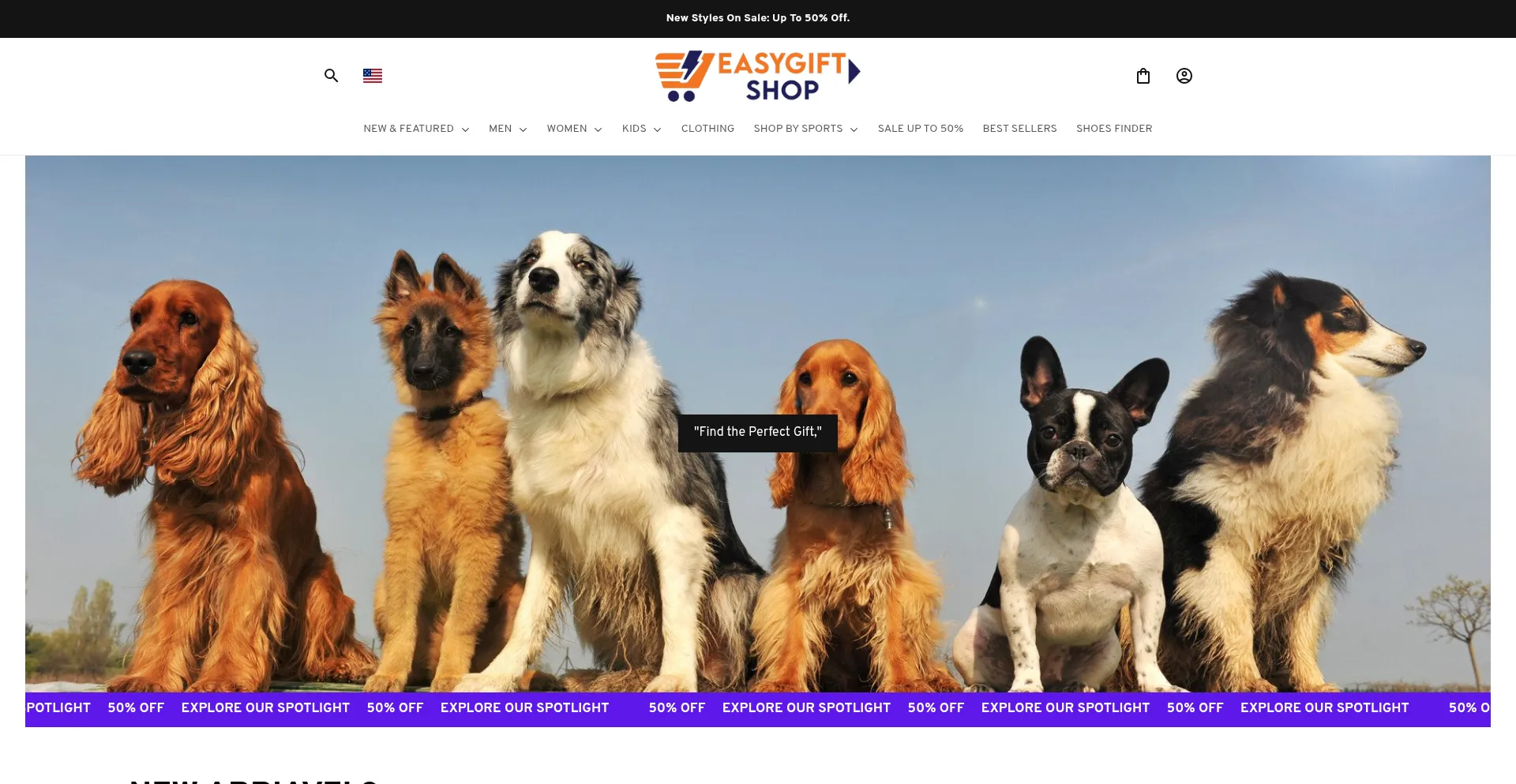 Website screenshot of Easygifti.store