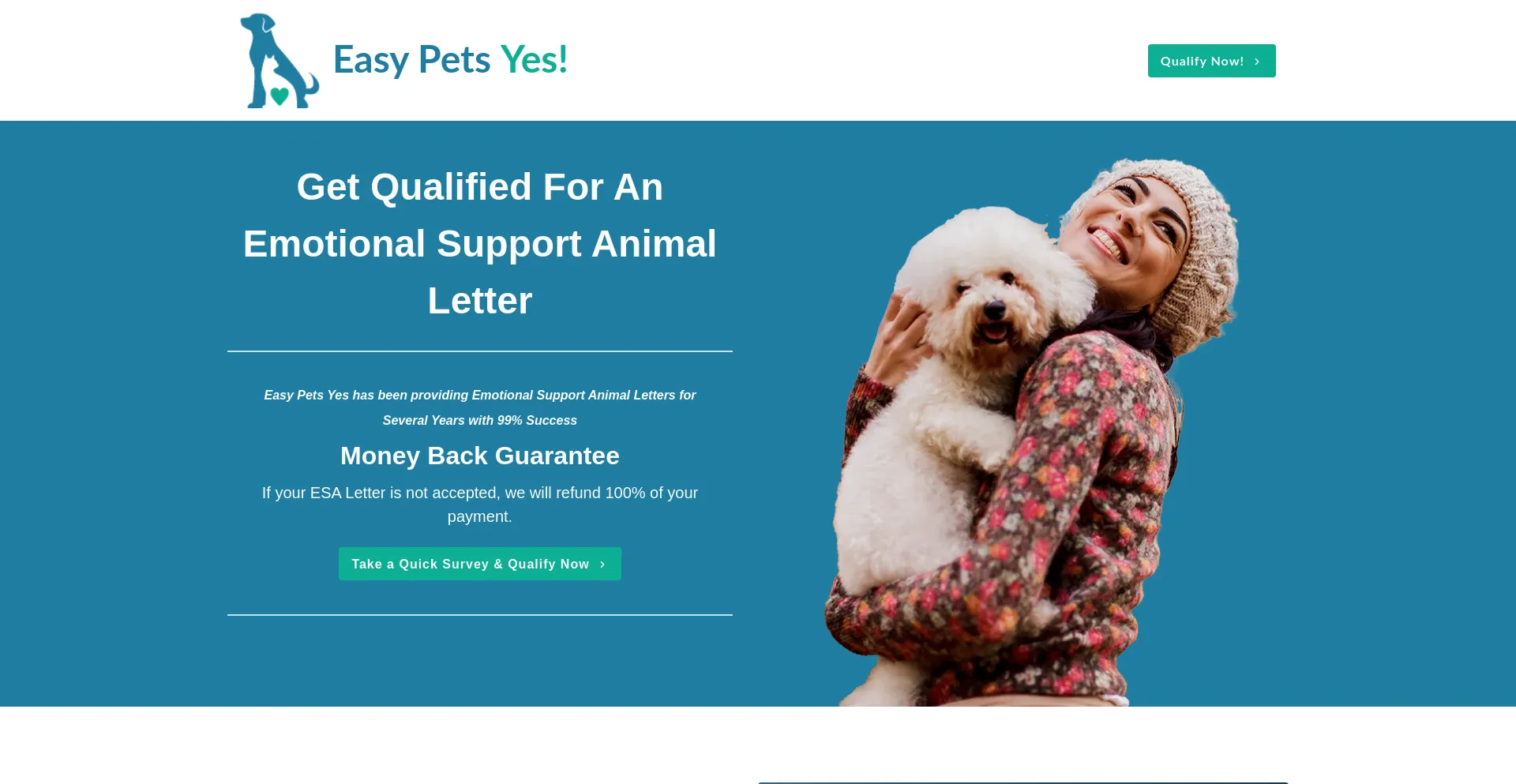Website screenshot of Easypetsyes.com