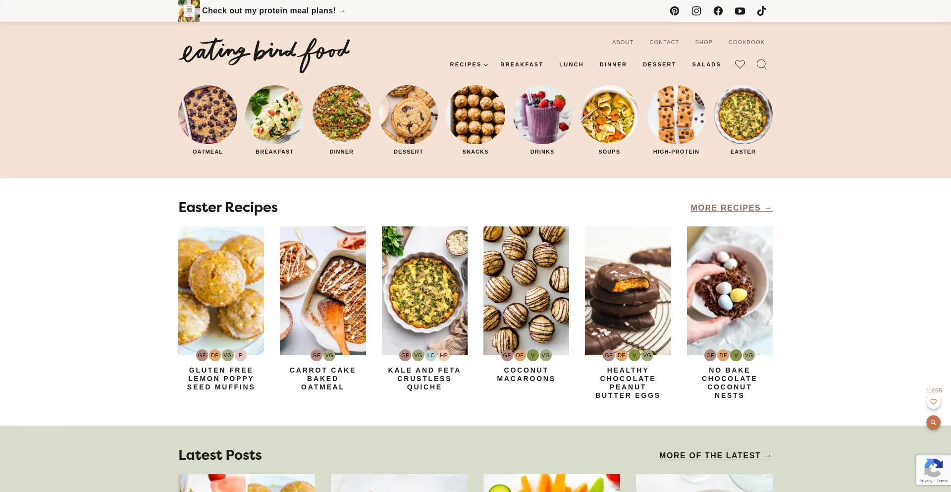 Website screenshot of Eatingbirdfood.com