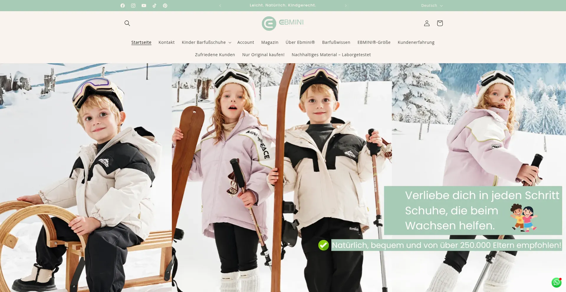 Is Ebmini.de Safe?