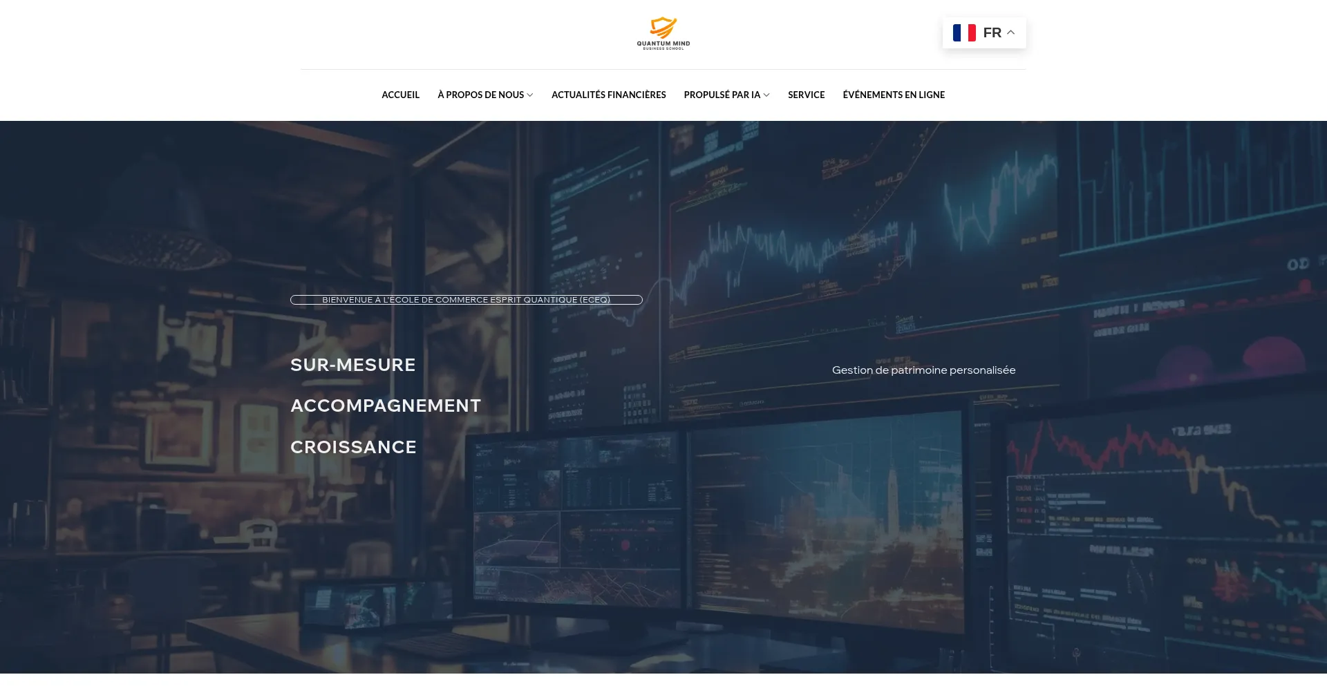 Website screenshot of Eceq.org